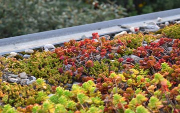 the cost of Islington green roof installation