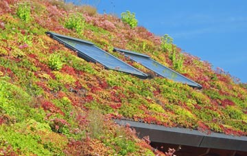 Islington living roof systems